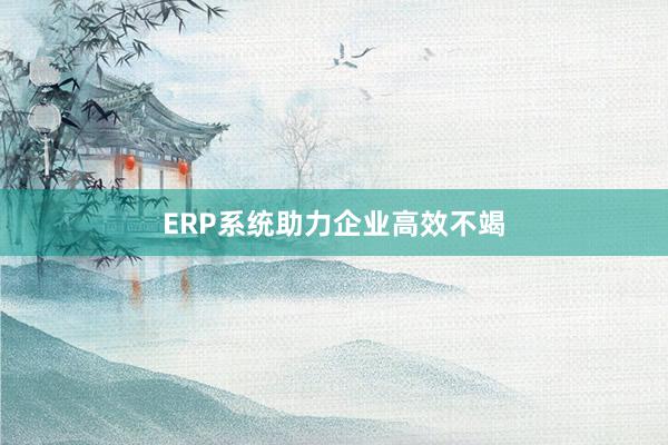ERP系统助力企业高效不竭